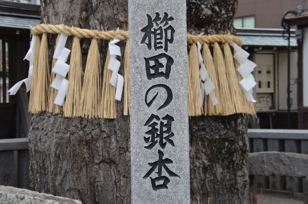 くまごろう様専用【2月8日】-